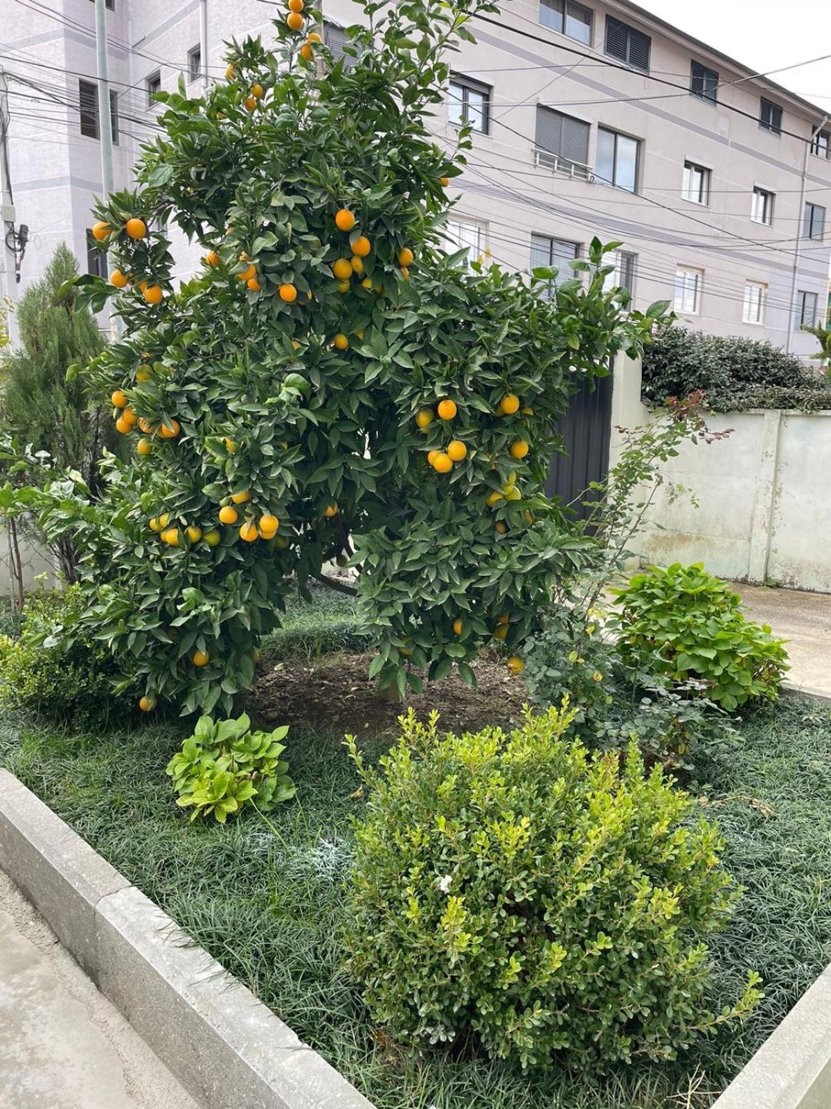 Kevi 'S Place Tirana Zewnętrze zdjęcie