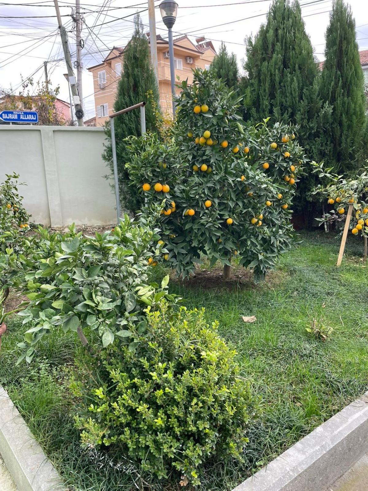 Kevi 'S Place Tirana Zewnętrze zdjęcie